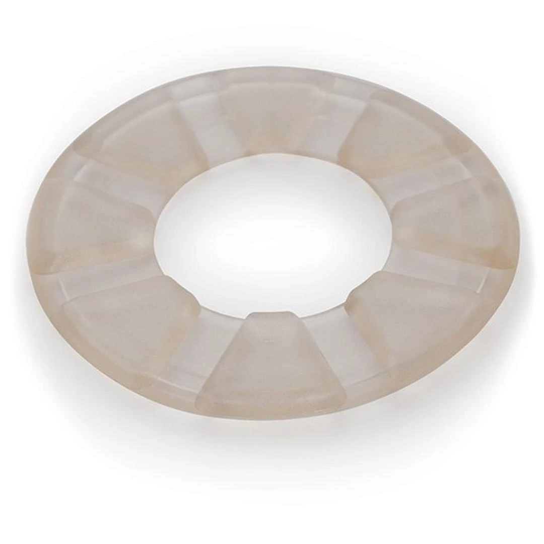 Pentair - Foot Pad For Classic 3 Pentair - Foot Pad For Classic - Image 3