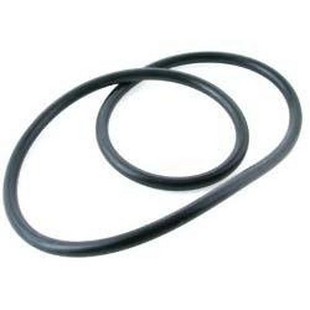 Pentair - O-Ring, Valve Body 2 Pentair - O-Ring, Valve Body - Image 2