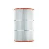 Pleatco - PAP75-4 Replacement Filter Cartridge For Clean And Clear 75 & Predator 75