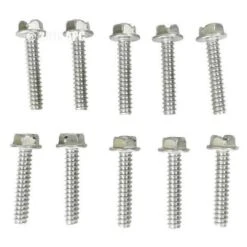 Hayward - Screws